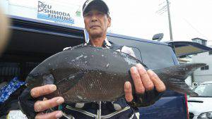 伊豆下田フィッシング 釣果