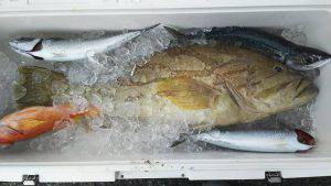 伊豆下田フィッシング 釣果