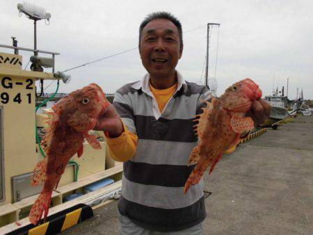 大進丸(新潟) 釣果
