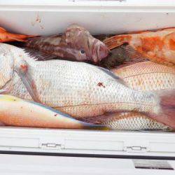 第二一之紀丸(ダイニイチノキマル) 釣果