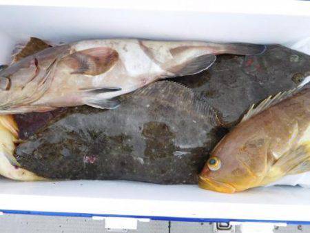 第二一之紀丸(ダイニイチノキマル) 釣果