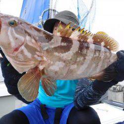 第二一之紀丸(ダイニイチノキマル) 釣果