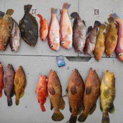 第二一之紀丸（ダイニイチノキマル） 釣果