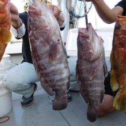 第二一之紀丸（ダイニイチノキマル） 釣果