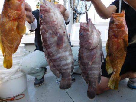 第二一之紀丸（ダイニイチノキマル） 釣果