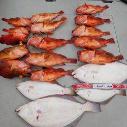 第二一之紀丸（ダイニイチノキマル） 釣果