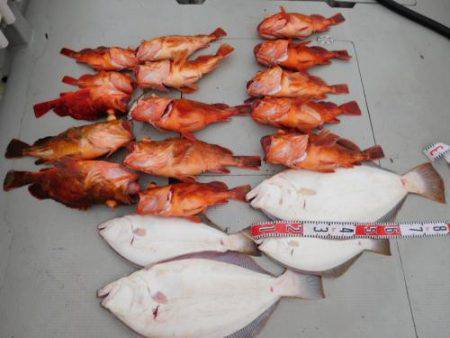 第二一之紀丸（ダイニイチノキマル） 釣果