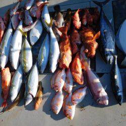 第二一之紀丸(ダイニイチノキマル) 釣果