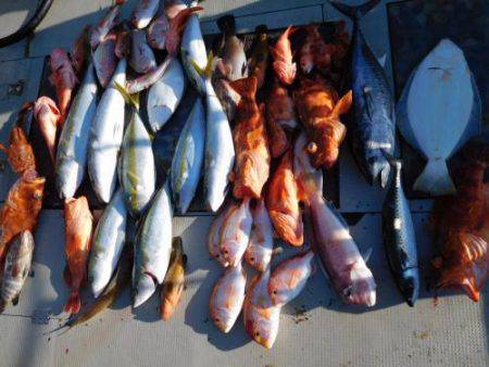 第二一之紀丸（ダイニイチノキマル） 釣果