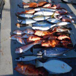 第二一之紀丸(ダイニイチノキマル) 釣果