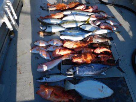 第二一之紀丸(ダイニイチノキマル) 釣果