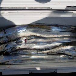 遊漁船 ニライカナイ 釣果