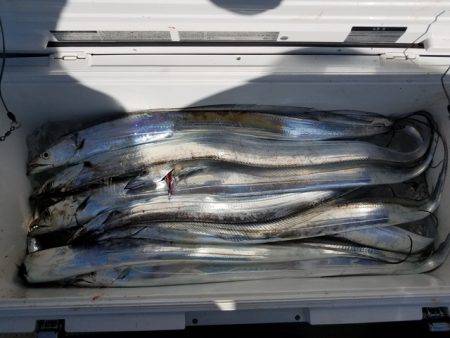 遊漁船 ニライカナイ 釣果