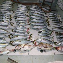 スカイマリン 釣果