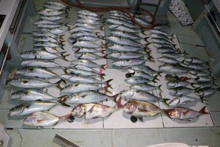 スカイマリン 釣果