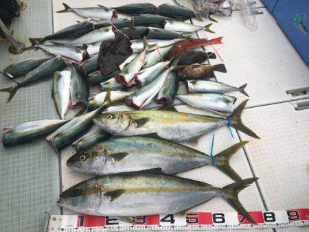 ふじしめ丸 釣果