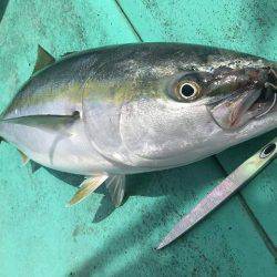 広進丸 釣果