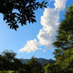 小菅トラウトガーデン 釣果