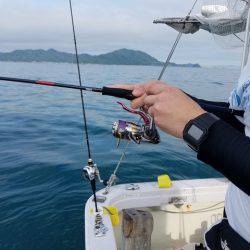 遊漁船 ニライカナイ 釣果