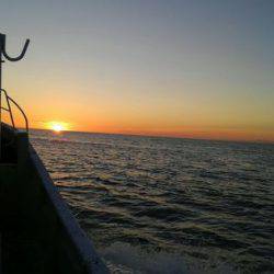 遊漁船 新鋭丸 釣果