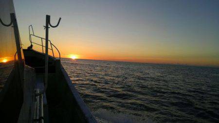 遊漁船 新鋭丸 釣果