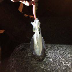 土曜日が調子良かったので