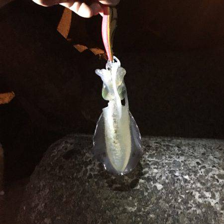 土曜日が調子良かったので