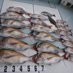 遊漁船 幸友丸 釣果