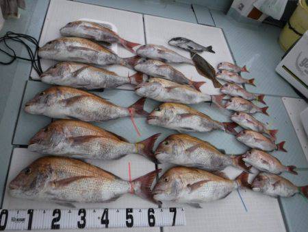 遊漁船 幸友丸 釣果