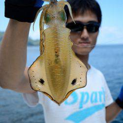 Marine T Design マリンティーデザイン 釣果