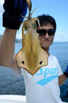 Marine T Design　マリンティ…