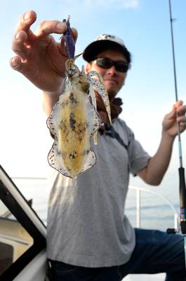 Marine T Design　マリンティーデザイン 釣果