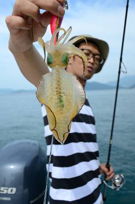 Marine T Design　マリンティ…