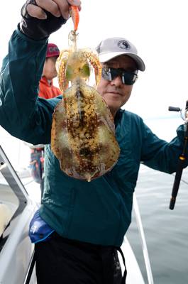 Marine T Design　マリンティ…