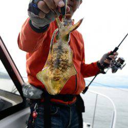 Marine T Design マリンティーデザイン 釣果