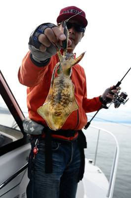 Marine T Design マリンティーデザイン 釣果