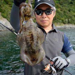 Marine T Design マリンティーデザイン 釣果