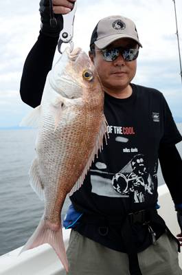 Marine T Design マリンティーデザイン 釣果