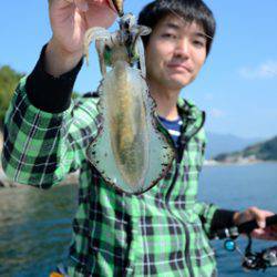 Marine T Design マリンティーデザイン 釣果