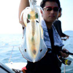 Marine T Design マリンティーデザイン 釣果