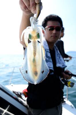 Marine T Design マリンティーデザイン 釣果