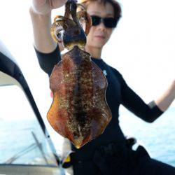 Marine T Design マリンティーデザイン 釣果