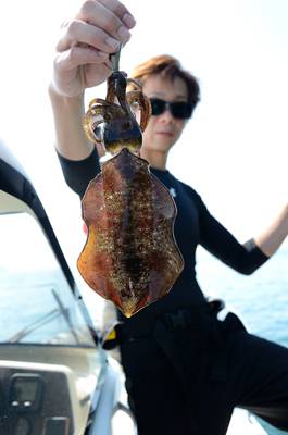 Marine T Design マリンティーデザイン 釣果