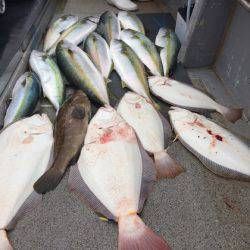 幸風（さちかぜ） 釣果