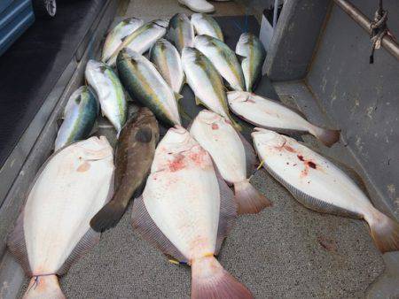 幸風（さちかぜ） 釣果