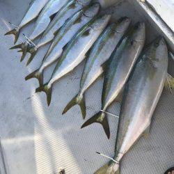 寿裕 （YOSHIHIRO） 釣果