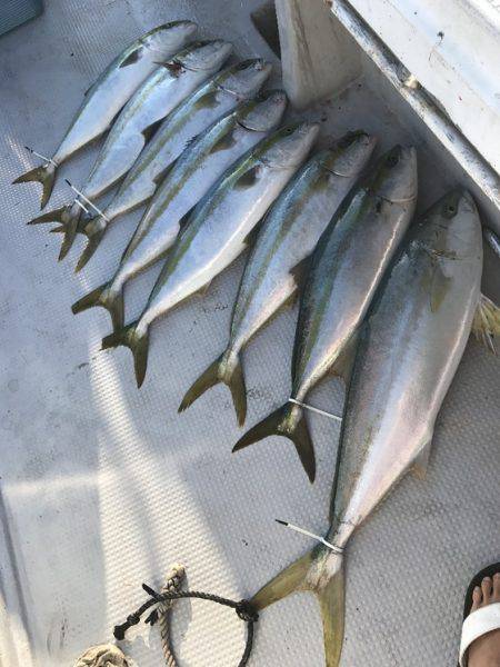 寿裕 （YOSHIHIRO） 釣果