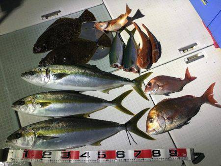 ふじしめ丸 釣果