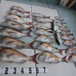 遊漁船 幸友丸 釣果