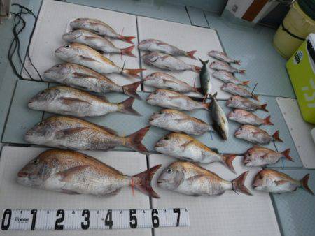 遊漁船 幸友丸 釣果